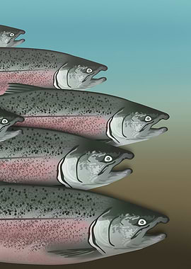 Alaskan Salmon Part1 Left