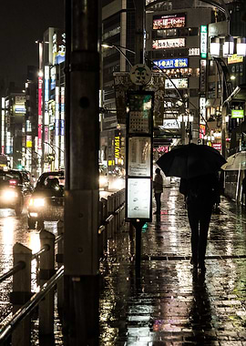 Tokyo Rainy night