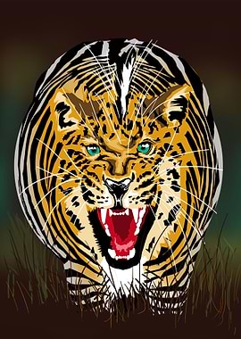 too much of zebra meat