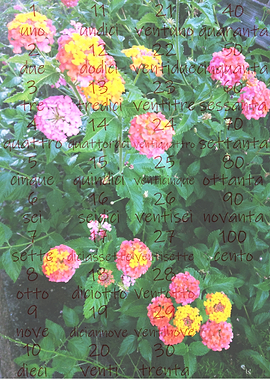 i Numeri Italian Numbers