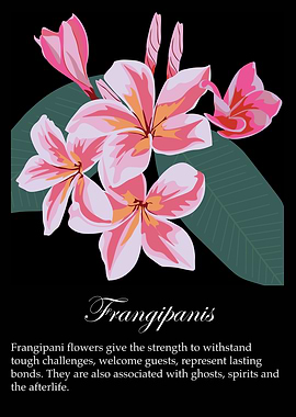 Frangipanis poster