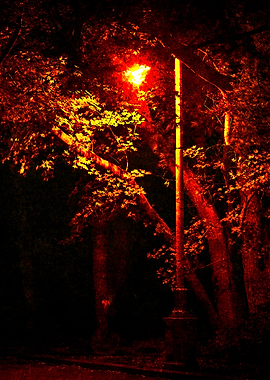 A Lamp In The Night Park