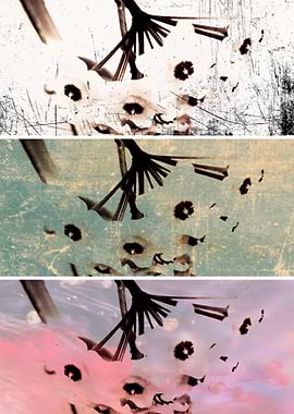 Diving through seasons