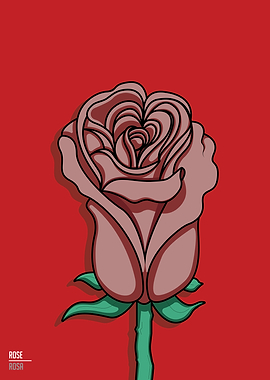 Red Rose
