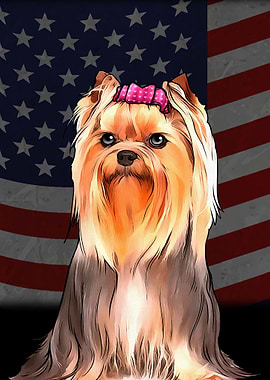 Portrait from a Shih tzu