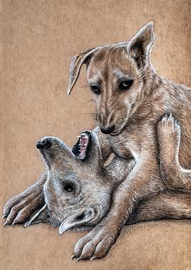 Vantage in a dogfight