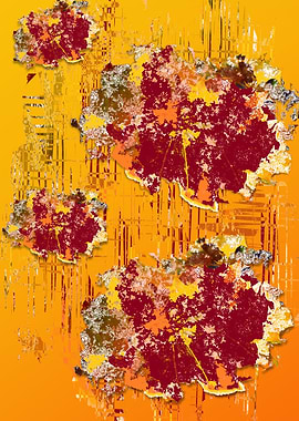 Fall leaves summer behind