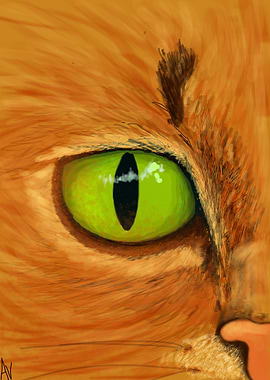 Eye of Cat