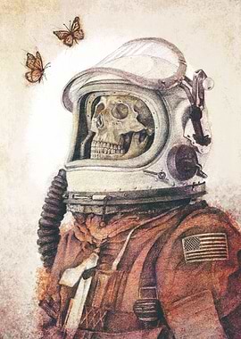 Butterflies in Spaces