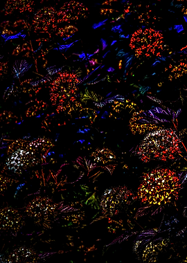 Ninebark Bush Left Part