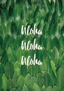Aloha modern text poster