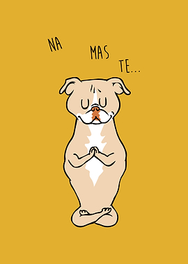 NAMASTE American Pit Bull