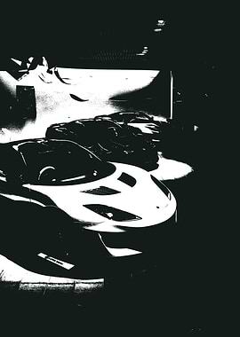 Black and White Lotus