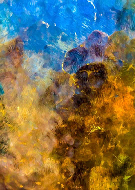 Copper Plate Reflections