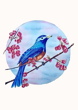 Blue Bird