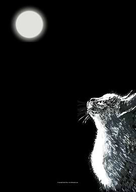 Cat Looking at The Moon