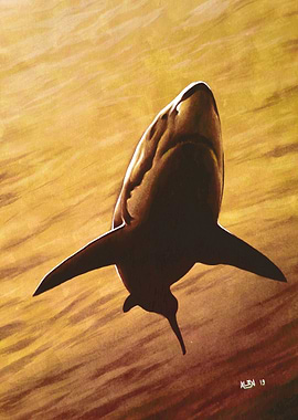 Raging Waters Yellow