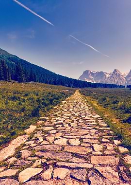 trail in the mountain