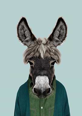 donkey portrait