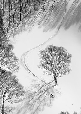 Sapporo Skiing Shadows