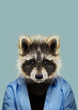 Raccoon bear portrait