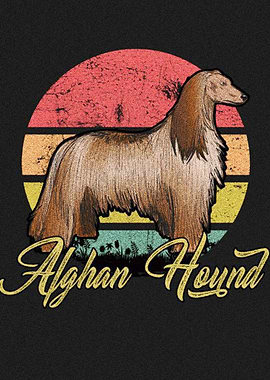 Alghan Hound