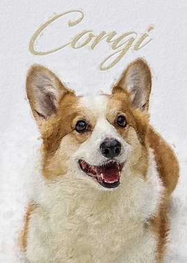 Corgi dog