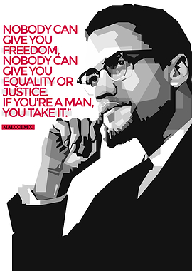 Malcolm X quotes BW