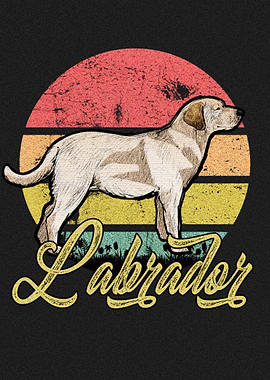 Labrador