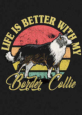 Border Collie 1