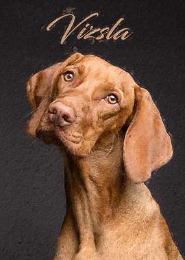 Vizsla dog