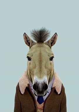 horse portrait
