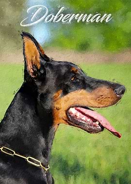 Doberman