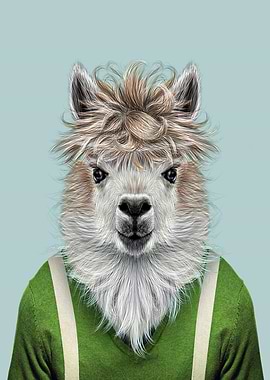 llama portrait