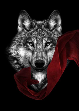 wolf with red shal