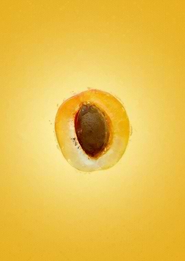Apricot