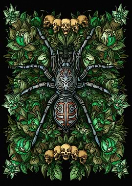Spider Spinne