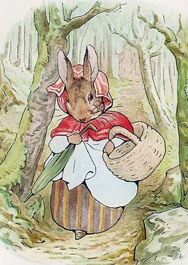 Mrs Rabbit goes shopping