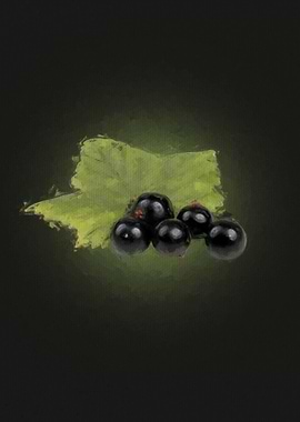 Black Currant