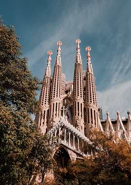 Castle in the Forest