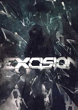 Excision Canvas