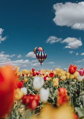 Flowers and Air Balloons