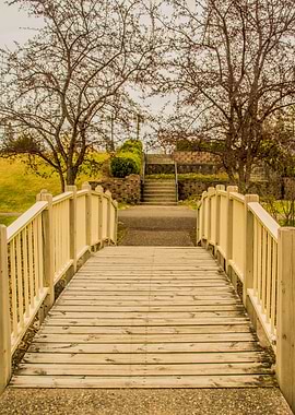 Bridge to Better Places