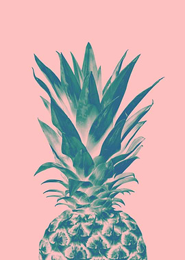 Blush Pineapple Dream 3