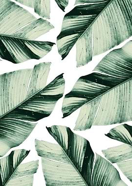 Banana Leaves Vibes 1