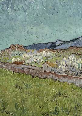 Gezicht op de Alpilles