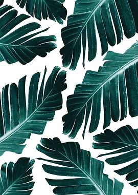Tropical Banana Leaves 1