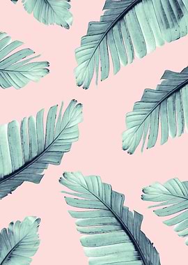 Blush Banana Leaves 6
