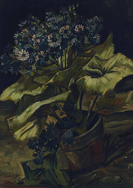 Flowerpot with Cineraria