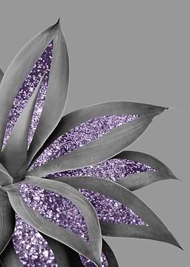 Agave Finesse Glam 4